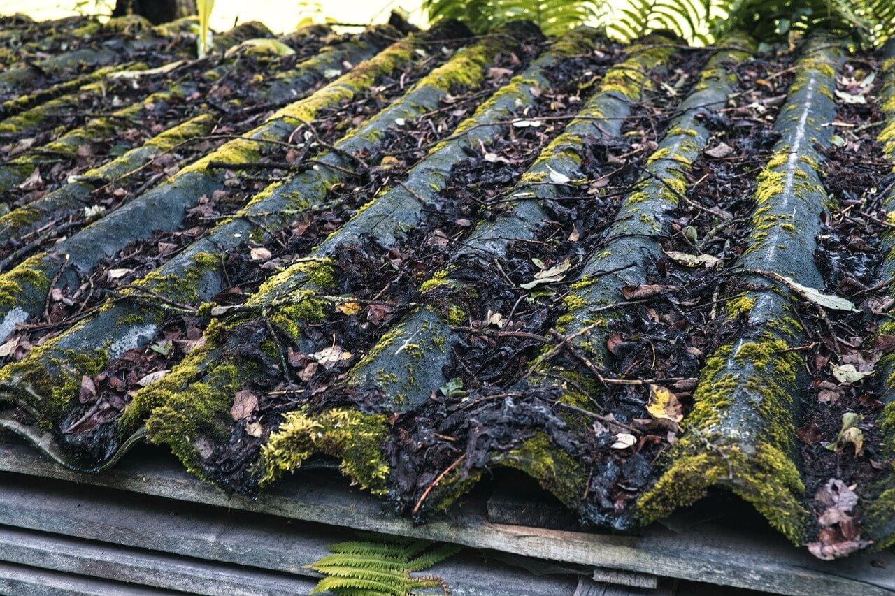 Corrugated Asbestos Roof